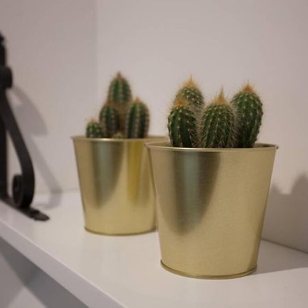 Bonito Apartamento, Nuevo Y En El Casco Viejo!!! Lejlighed Bilbao Eksteriør billede